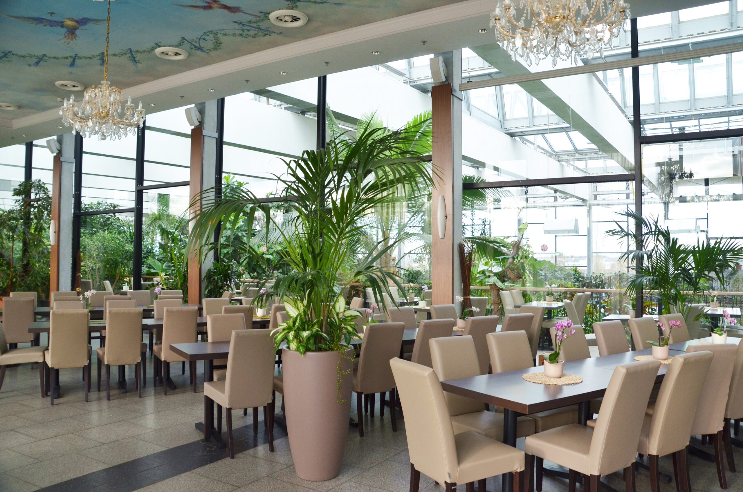 Restaurant_Urwaldblick_in_der_Biosphaere_Potsdam_Innenbereich